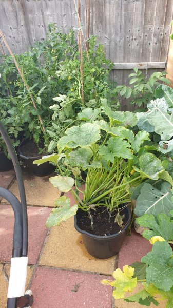 WhatsApp Image 2020-07-18 at 20.21.44 (4).jpeg