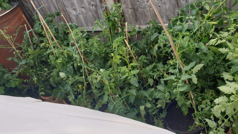 WhatsApp Image 2020-07-18 at 20.21.44 (5).jpeg