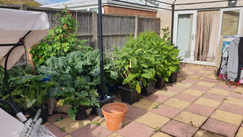 WhatsApp Image 2020-07-18 at 20.21.44 (6).jpeg