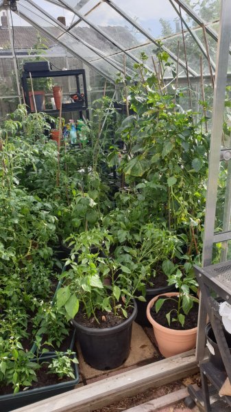 WhatsApp Image 2020-07-18 at 20.21.44 (7).jpeg