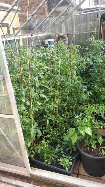 WhatsApp Image 2020-07-18 at 20.21.44 (8).jpeg