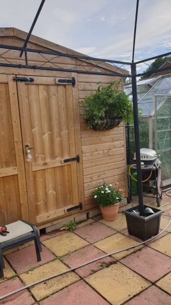 WhatsApp Image 2020-07-18 at 20.21.44.jpeg