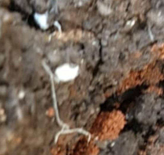 WhatsApp Image 2020-09-16 at 13.57.36.jpeg