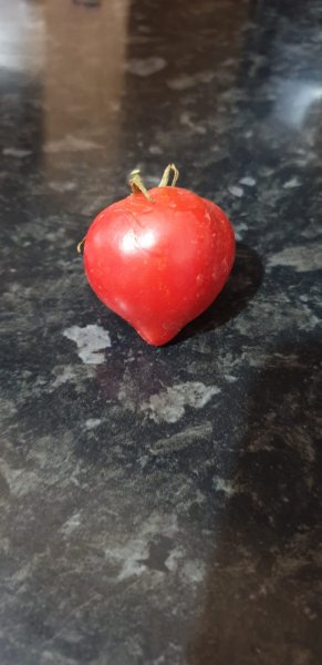 WhatsApp Image 2020-09-20 at 14.34.21.jpeg