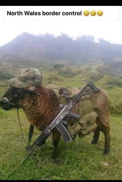 WhatsApp Image 2020-10-22 at 18.32.40.jpeg