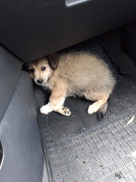 WhatsApp Image 2020-10-25 at 21.13.23.jpeg