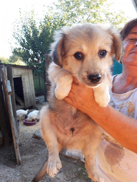 WhatsApp Image 2020-10-25 at 21.13.24.jpeg