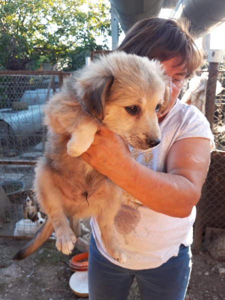 WhatsApp Image 2020-10-25 at 21.13.25.jpeg