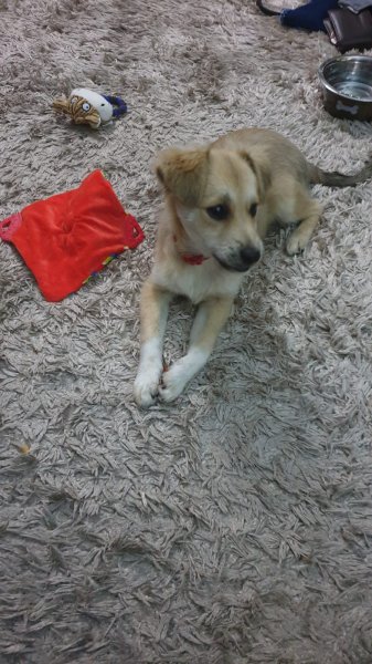 WhatsApp Image 2020-11-01 at 17.41.13 (1).jpeg