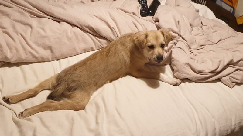 WhatsApp Image 2020-11-01 at 18.38.41.jpeg