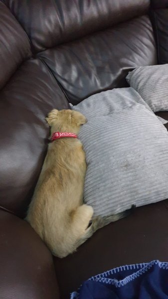 WhatsApp Image 2020-11-01 at 19.01.18.jpeg