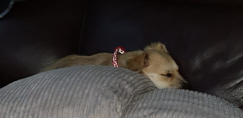 WhatsApp Image 2020-11-01 at 19.01.53.jpeg