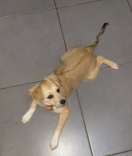 WhatsApp Image 2020-11-03 at 19.50.40.jpeg