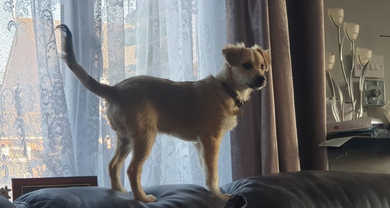 WhatsApp Image 2020-11-05 at 18.13.42.jpeg