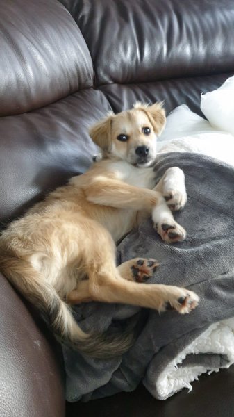 WhatsApp Image 2020-11-06 at 09.54.58.jpeg