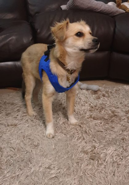 WhatsApp Image 2020-11-06 at 17.32.01.jpeg