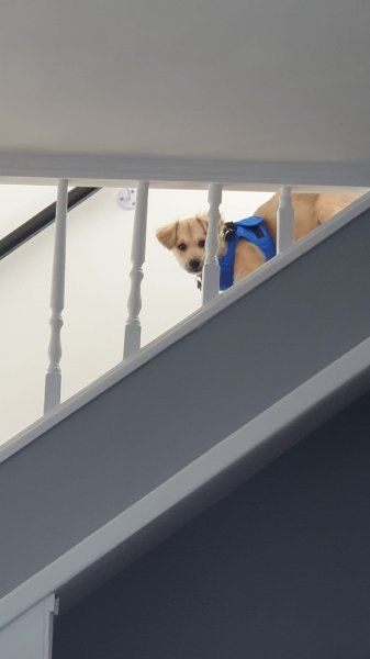 WhatsApp Image 2020-11-07 at 13.09.28.jpeg