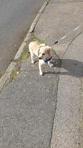 WhatsApp Image 2020-11-07 at 13.12.01.jpeg