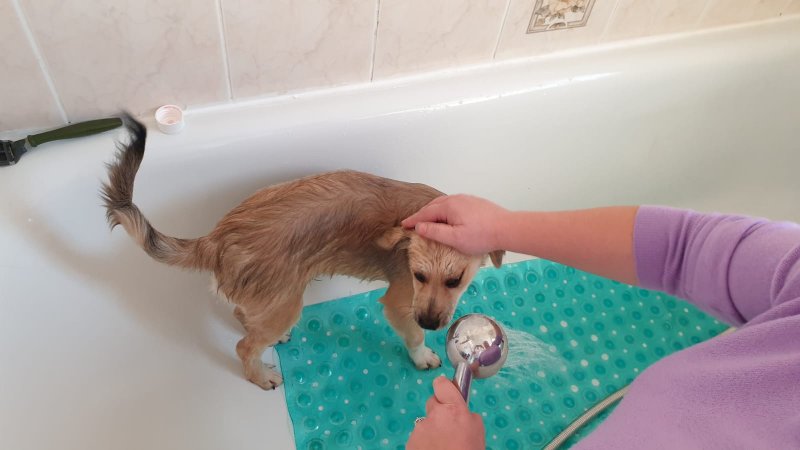 WhatsApp Image 2020-11-07 at 16.01.37.jpeg