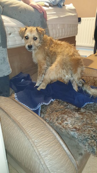 WhatsApp Image 2020-11-07 at 16.02.20.jpeg