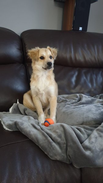 WhatsApp Image 2020-11-07 at 16.05.01.jpeg