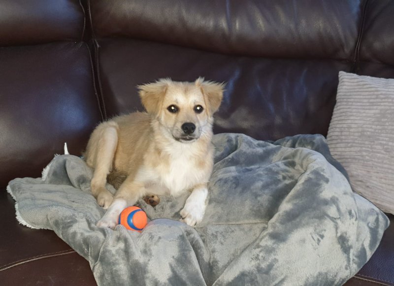 WhatsApp Image 2020-11-07 at 16.14.02.jpeg