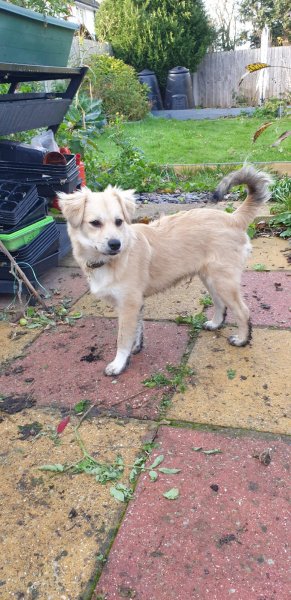 WhatsApp Image 2020-11-22 at 14.16.50.jpeg