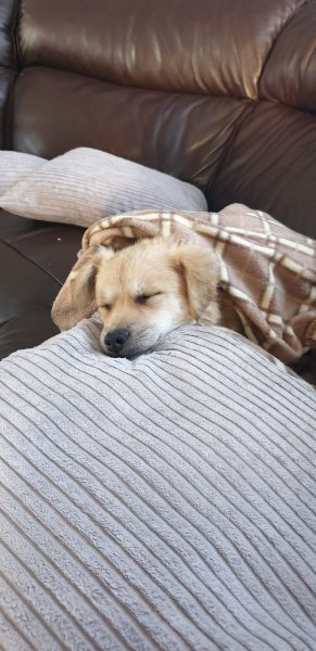 WhatsApp Image 2020-11-22 at 14.33.21.jpeg