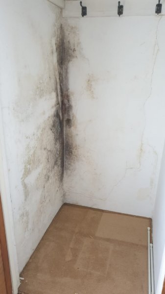 WhatsApp Image 2020-11-26 at 10.38.38 (1).jpeg