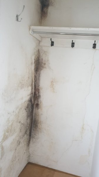 WhatsApp Image 2020-11-26 at 10.38.38.jpeg