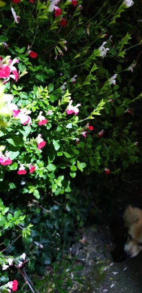 WhatsApp Image 2020-12-03 at 20.46.14.jpeg