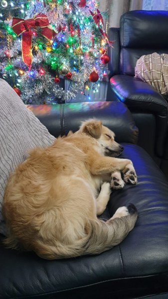 WhatsApp Image 2020-12-12 at 16.19.37.jpeg