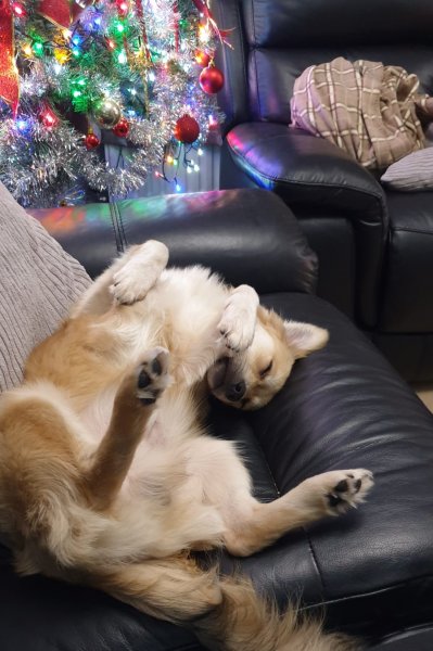 WhatsApp Image 2020-12-12 at 16.21.01.jpeg