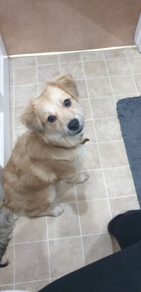 WhatsApp Image 2020-12-19 at 18.27.34 (2).jpeg