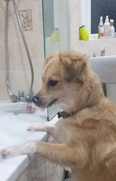 WhatsApp Image 2020-12-19 at 18.27.34.jpeg