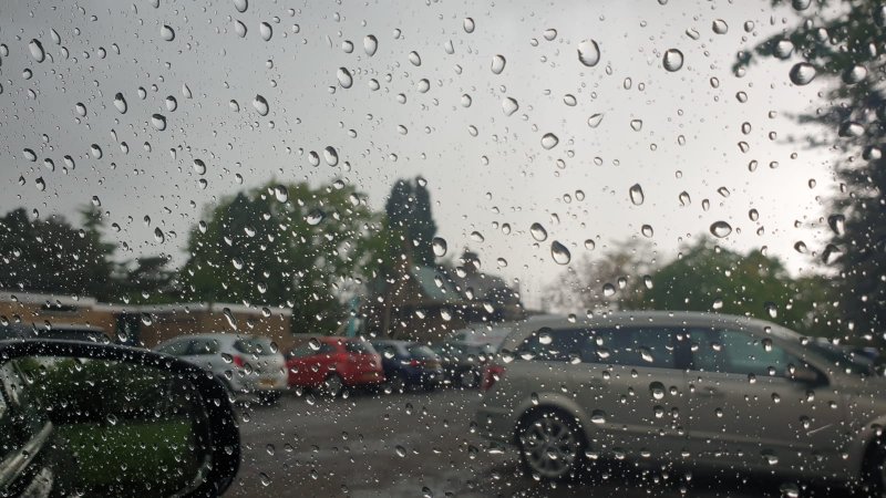 WhatsApp Image 2021-05-18 at 17.24.45.jpeg