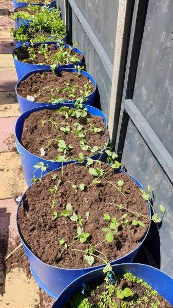 WhatsApp Image 2021-05-27 at 13.47.11 (2).jpeg