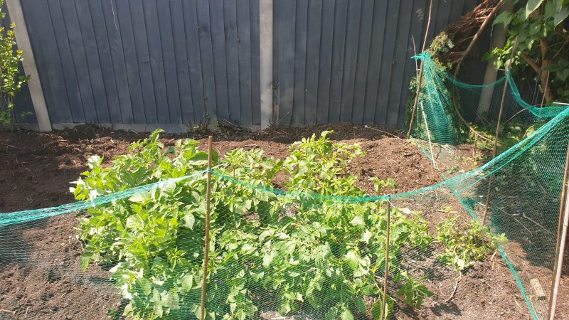 WhatsApp Image 2021-05-31 at 14.04.17 (1).jpeg