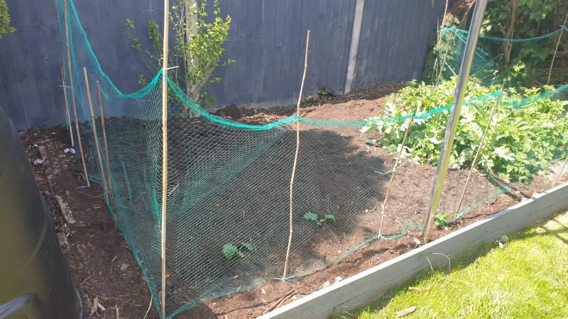 WhatsApp Image 2021-05-31 at 14.04.17.jpeg