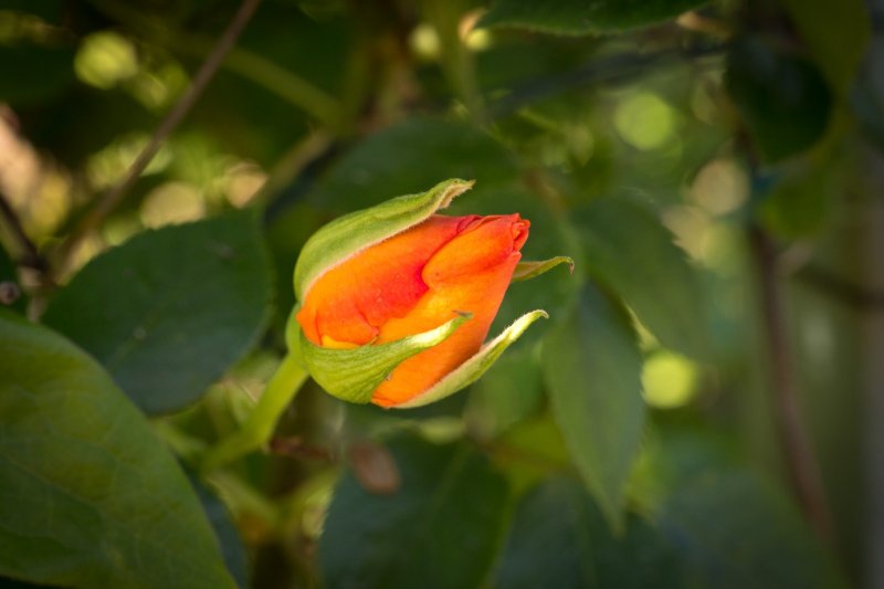 WhatsApp Image 2021-06-09 at 08.26.20 (1).jpeg