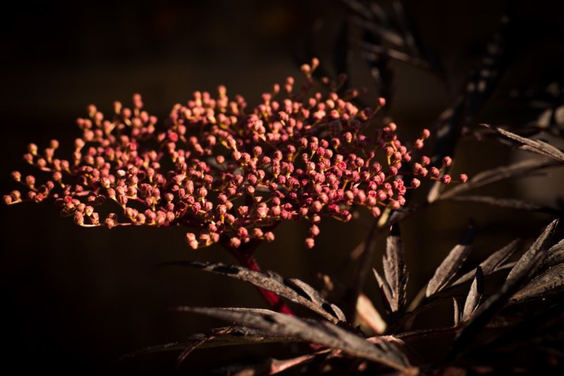 WhatsApp Image 2021-06-09 at 08.26.20.jpeg