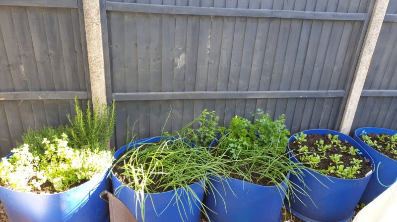 WhatsApp Image 2021-06-16 at 08.32.25.jpeg