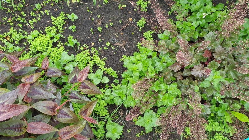 WhatsApp Image 2021-06-21 at 18.25.54 (1).jpeg