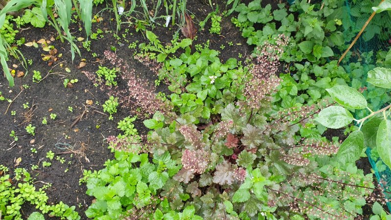 WhatsApp Image 2021-06-21 at 18.25.54 (2).jpeg