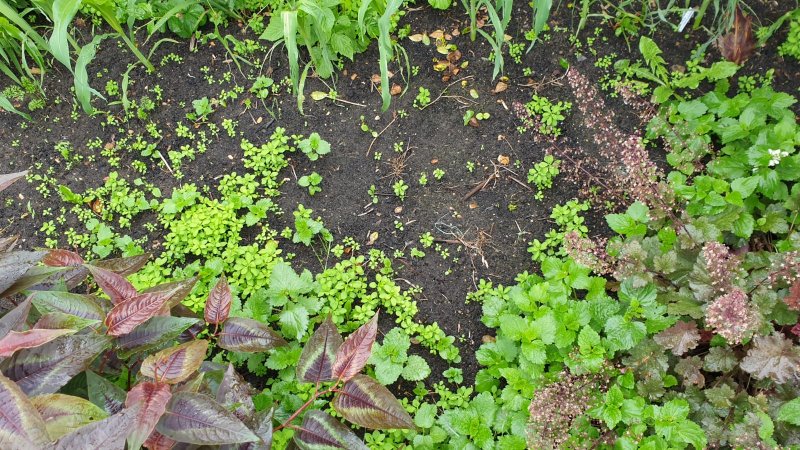 WhatsApp Image 2021-06-21 at 18.25.54.jpeg