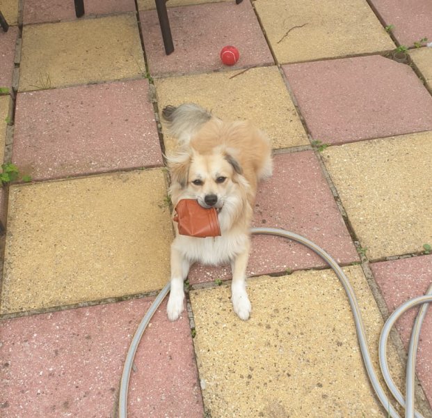 WhatsApp Image 2021-06-22 at 15.03.33.jpeg