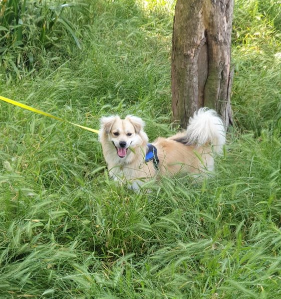 WhatsApp Image 2021-06-26 at 15.10.35 (1).jpeg