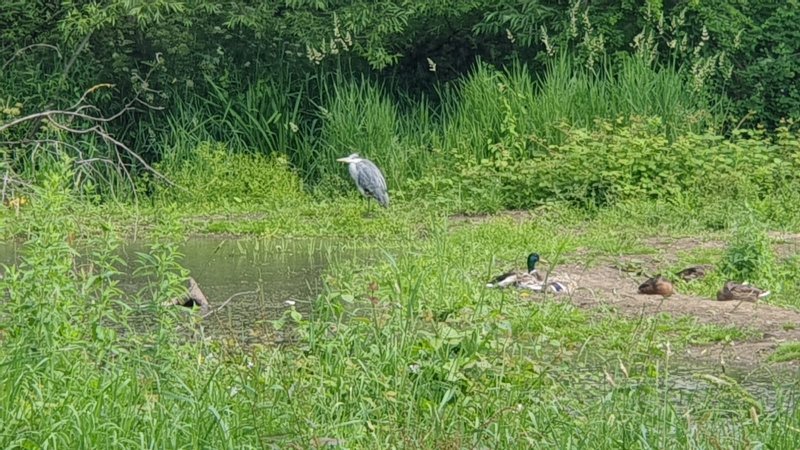 WhatsApp Image 2021-06-26 at 15.10.36 (2).jpeg