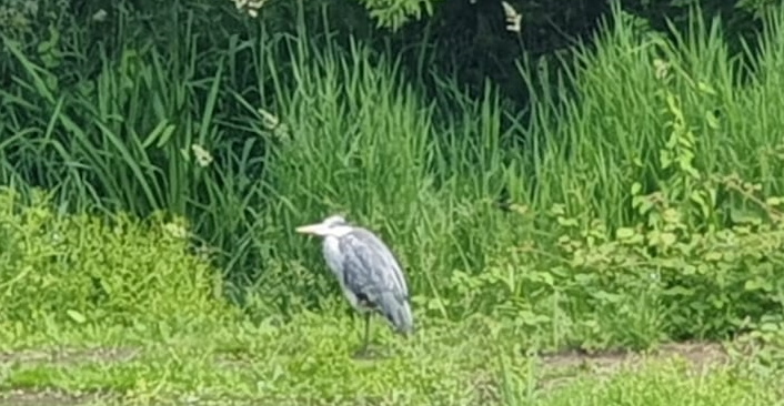 WhatsApp Image 2021-06-26 at 15.10.37 (2)b.jpg