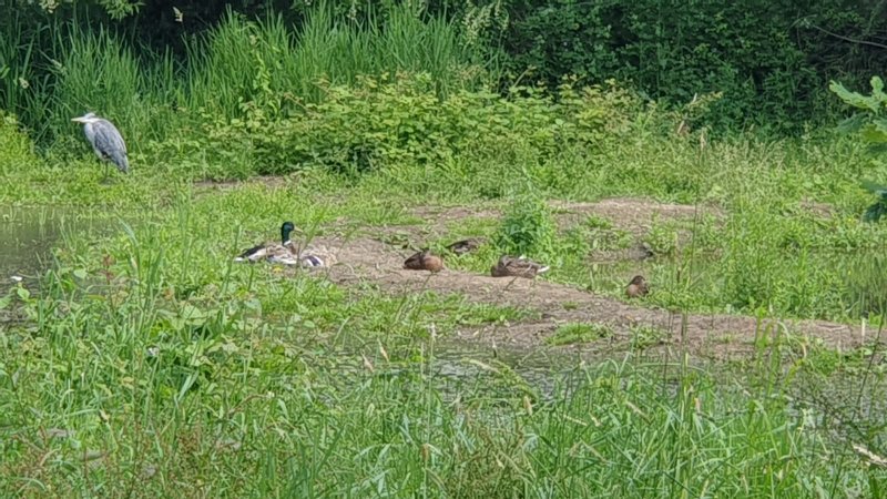 WhatsApp Image 2021-06-26 at 15.10.37 (3).jpeg